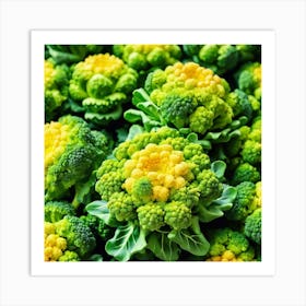 Close Up Of Broccoli 17 Art Print