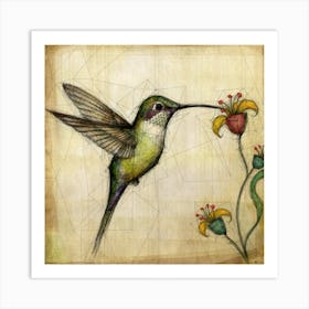 Hummingbird 1 Art Print