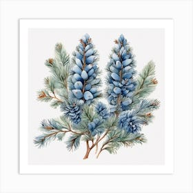 Blue spruce branches 3 Art Print