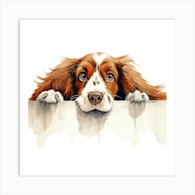 Spaniel Welsh Springer 6 Art Print