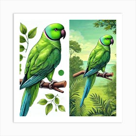 Parrots Art Print