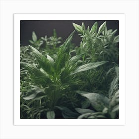 Herbs As A Background Haze Ultra Detailed Film Photography Light Leaks Larry Bud Melman Trendi Art Print