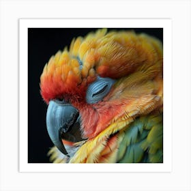 Colorful Parrot 20 Art Print