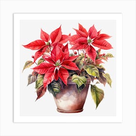 Poinsettia 38 Art Print