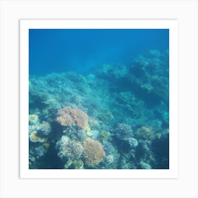 Great Barrier reef 7 Art Print