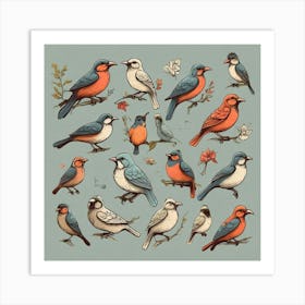 Birds Collection Art Print