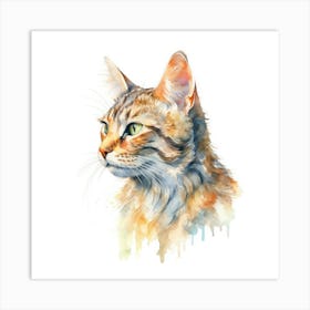 Bavarian Mountain Cat Portrait 3 Art Print