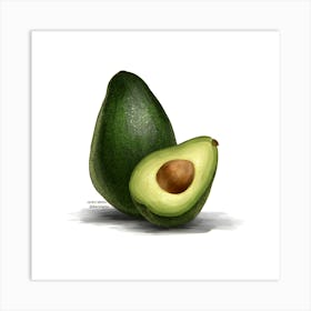 Avocado Art Print