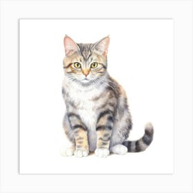 American Wirehair Shorthair Cat Portrait 2 Art Print