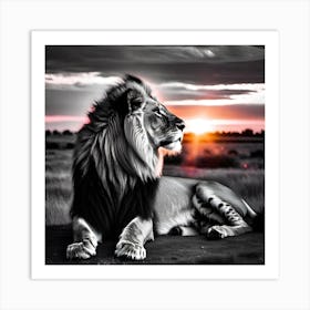 Lion At Sunset 6 Art Print