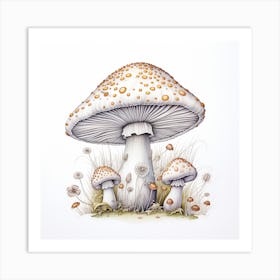 Mushrooms On A White Background Art Print