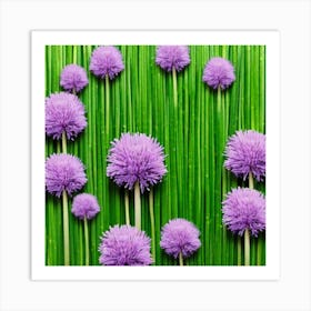 Purple Chrysanthemums 1 Art Print