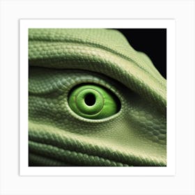 Eye Of A Lizard Art Print