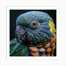 Parrot 3 Art Print