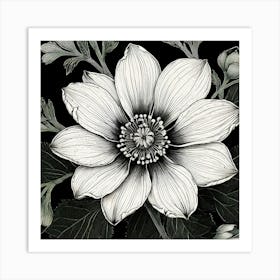 Black And White Flower, Illustrate A Close Up Of A Blooming Flower With Intricate Art Print