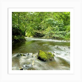 Stream In The Woods  Art Print