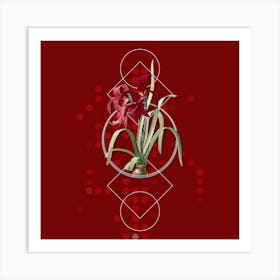 Vintage Sprekelia Botanical with Geometric Line Motif and Dot Pattern n.0012 Art Print