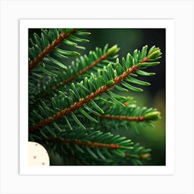 Fir leaf 1 Art Print