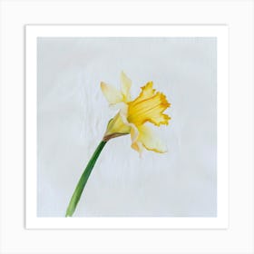 Daffodil 4 Art Print