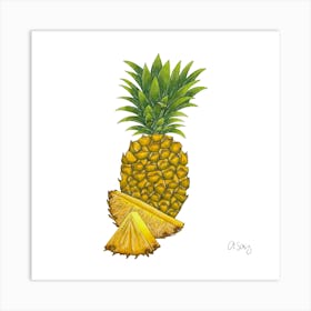 Pineapple 2 Art Print