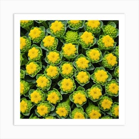 Yellow Flowers 16 Art Print