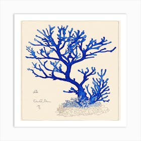 Blue Coral Print Art Print