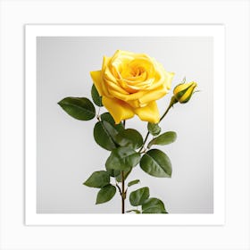 Yellow Rose 1 Art Print