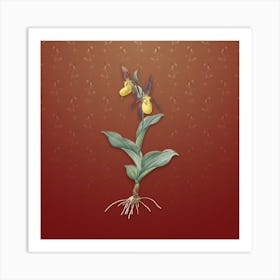 Vintage Lady's Slipper Orchid Botanical on Falu Red Pattern n.0029 Art Print