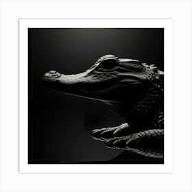 Alligator 4 Art Print