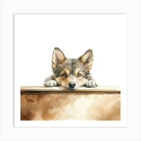 Swedish Vallhund Dog 3 Art Print