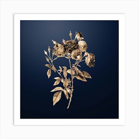 Gold Botanical Ternaux Rose Bloom on Midnight Navy n.2440 Art Print