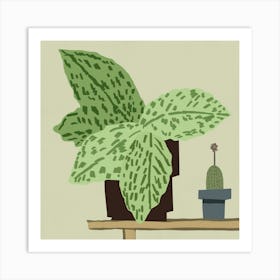 Cactus Stock Art Print