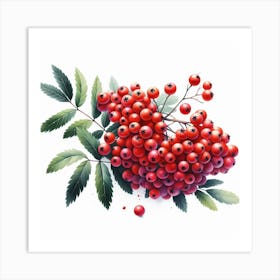 Rowan berries 4 Art Print