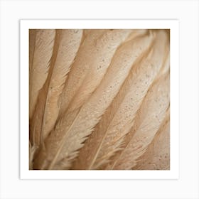 Close Up Of Feathers Art Print