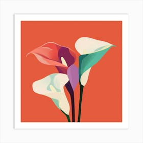 Calla Lily 5 Art Print