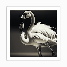 Flamingo Art Print