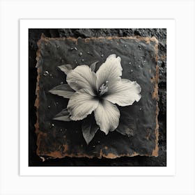 Oneeline42 A Rare Singularity Starflower Bloom In Heartbreak 3 Art Print