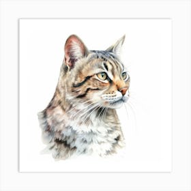 Leopardus Cat Portrait 1 Art Print