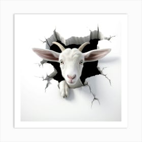 Goat Peeking Through A Hole Art Print