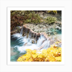 Turquoise Water Yellow Leaves Square Art Print