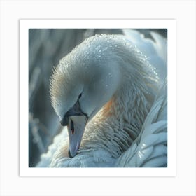 Sleepy Swan Art Print