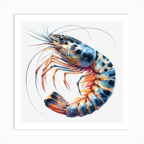 Prawn Art Print