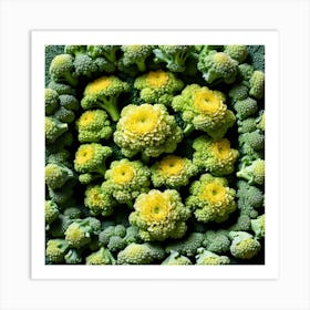 Florets Of Broccoli 23 Art Print