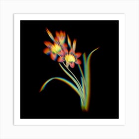 Prism Shift Ixia Tricolore Botanical Illustration on Black n.0352 Art Print