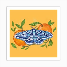Moth Oranges Square Art Print