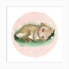 Bunny/Lapin Art Print