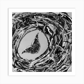 Butterfly 03 / Black & White / 30x30cm Art Print