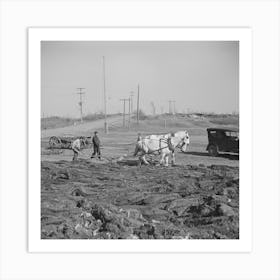 Plowing Cut Over Land Near Tipler, Wisconsin By Russell Lee Art Print