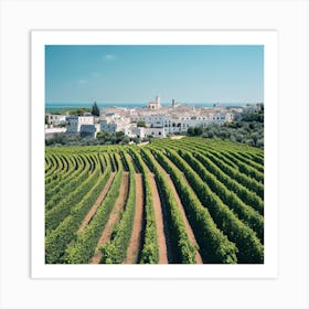 Vineyards In Sicily Art Print