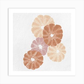 Grapefruit Art Print